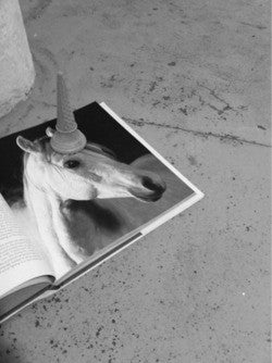 Unicorn Book